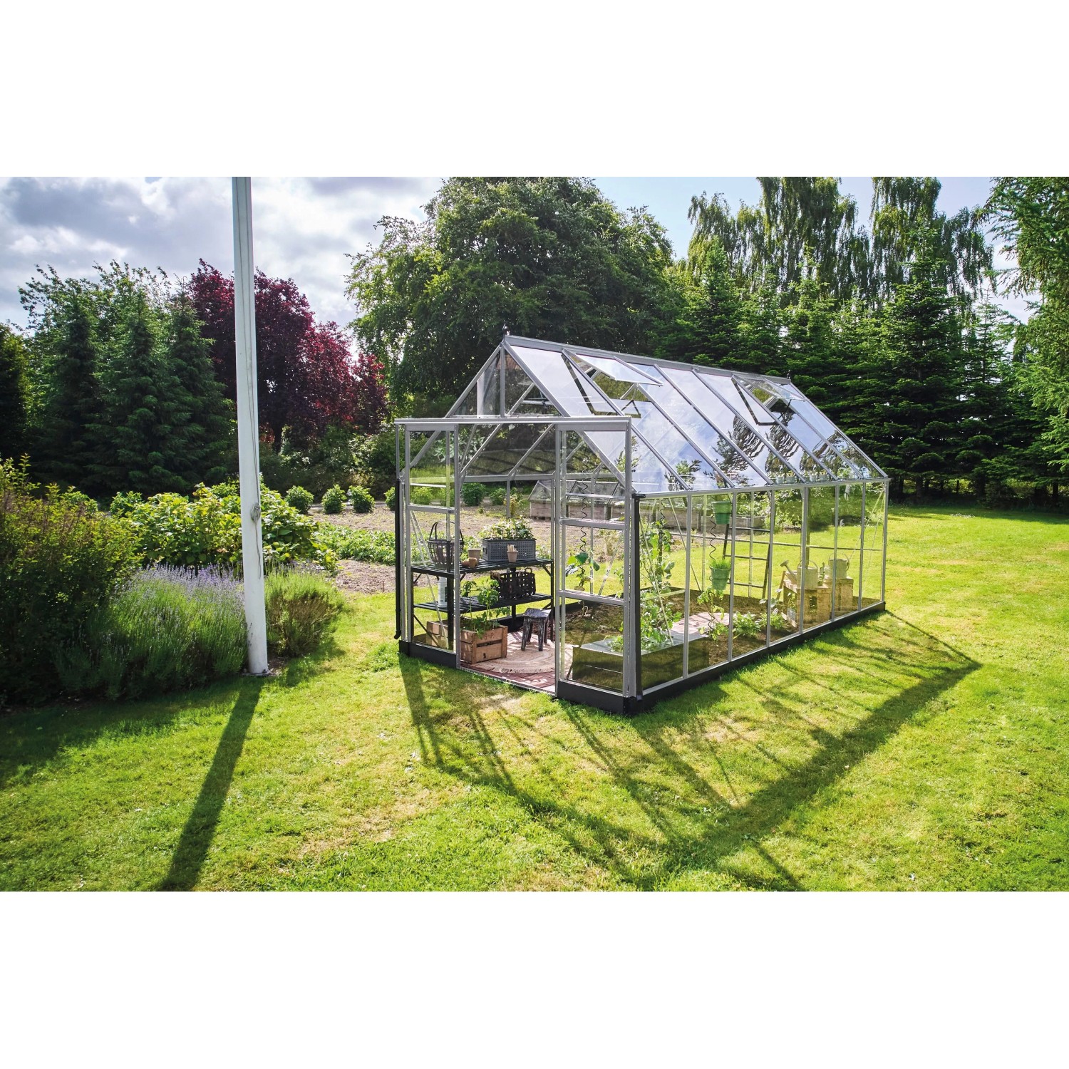 Halls Gewächshaus Icon 8 Alu 11,2 m² günstig online kaufen