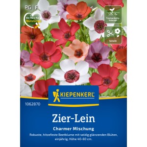 Kiepenkerl Zier-Lein Charmer Mischung mit bunten, seidigen Blüten im Beet oder Garten.
