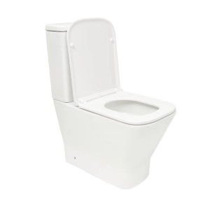 Weißes Swiss Aqua Technologies WC-Kombi-Set B-Way mit Softclose-Sitz und Vario-Ablauf.
