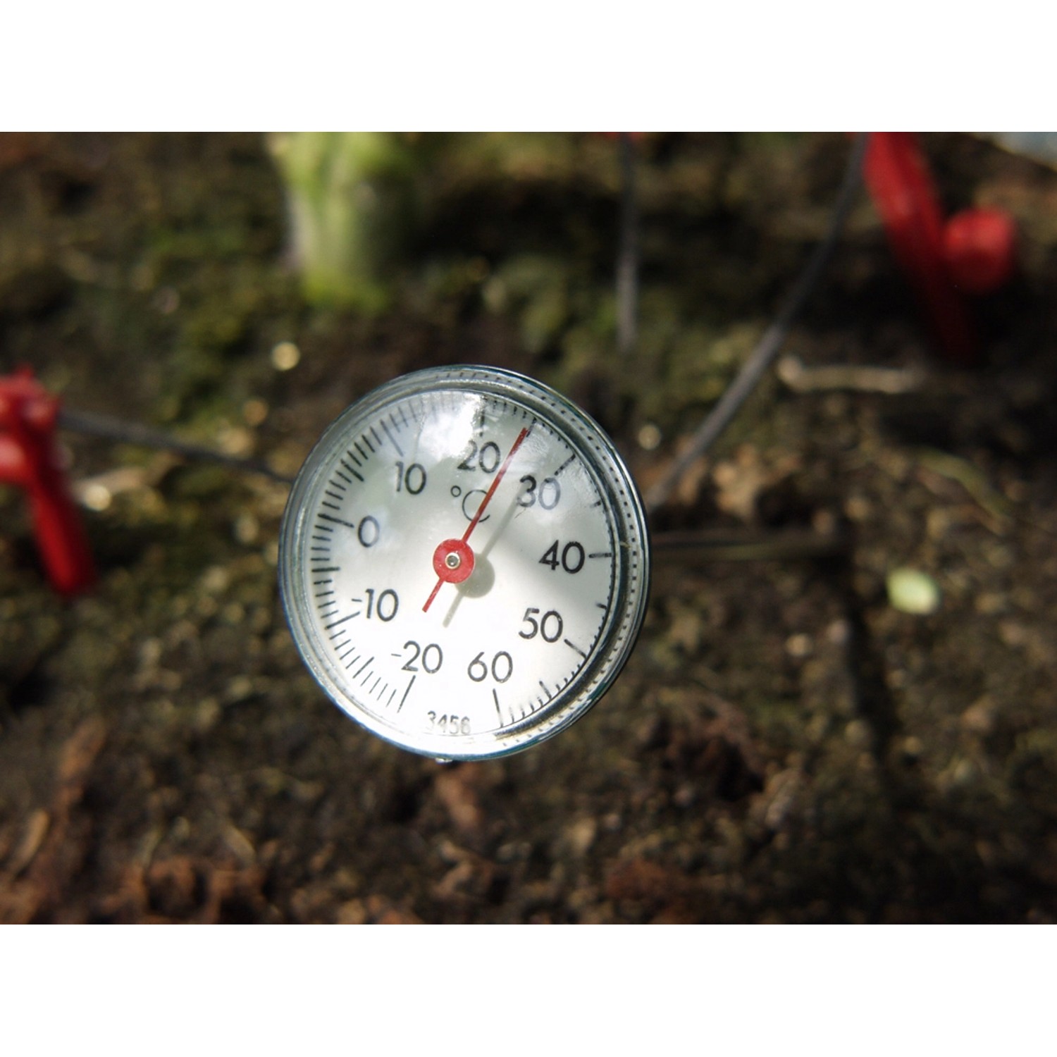 Vitavia Erdthermometer günstig online kaufen