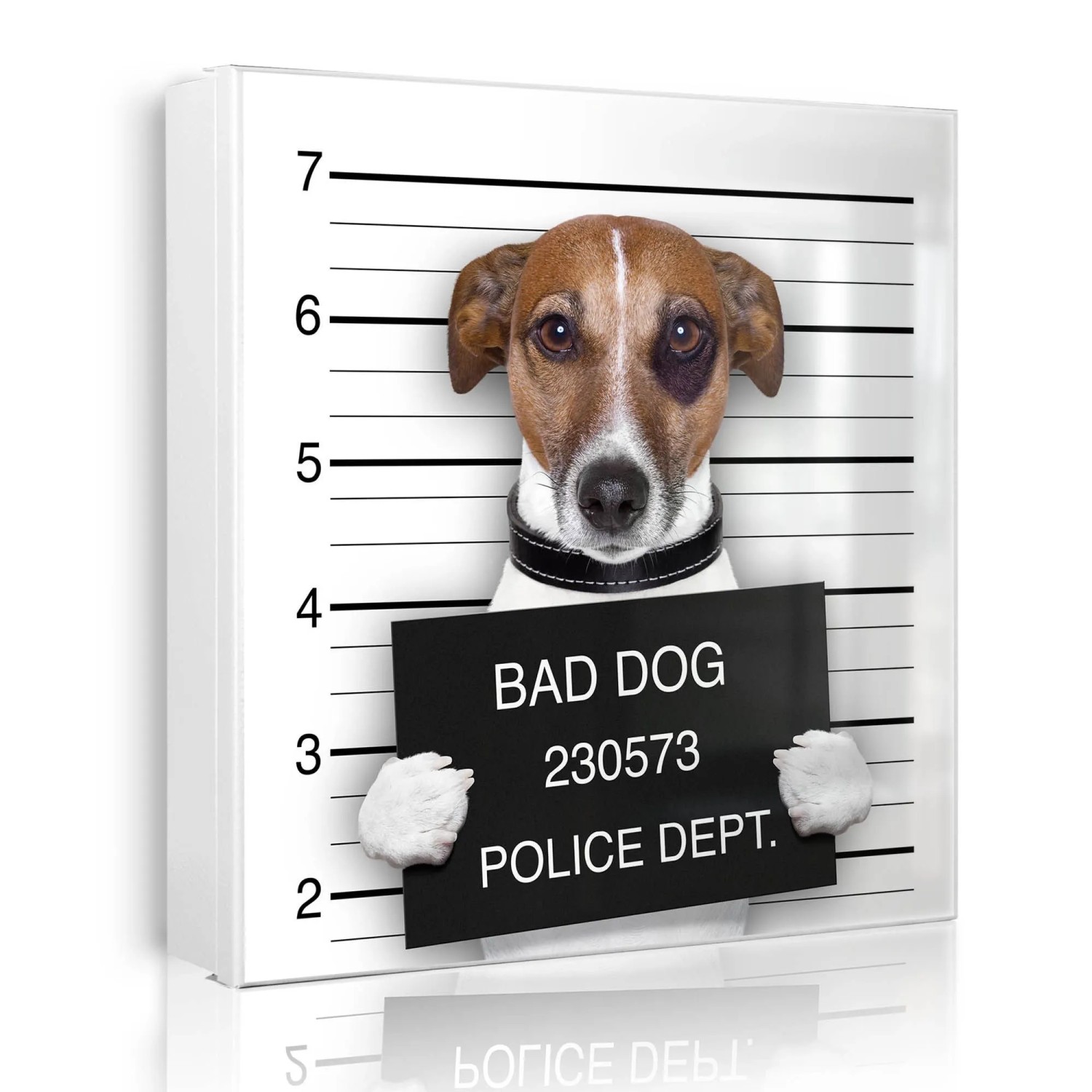 Banjado Großer Schlüsselkasten Metall 30x30cm Weiß Scharnier Links 50 Haken Beschreibbar Magnetisch Motiv Bad Dog Jack Russel