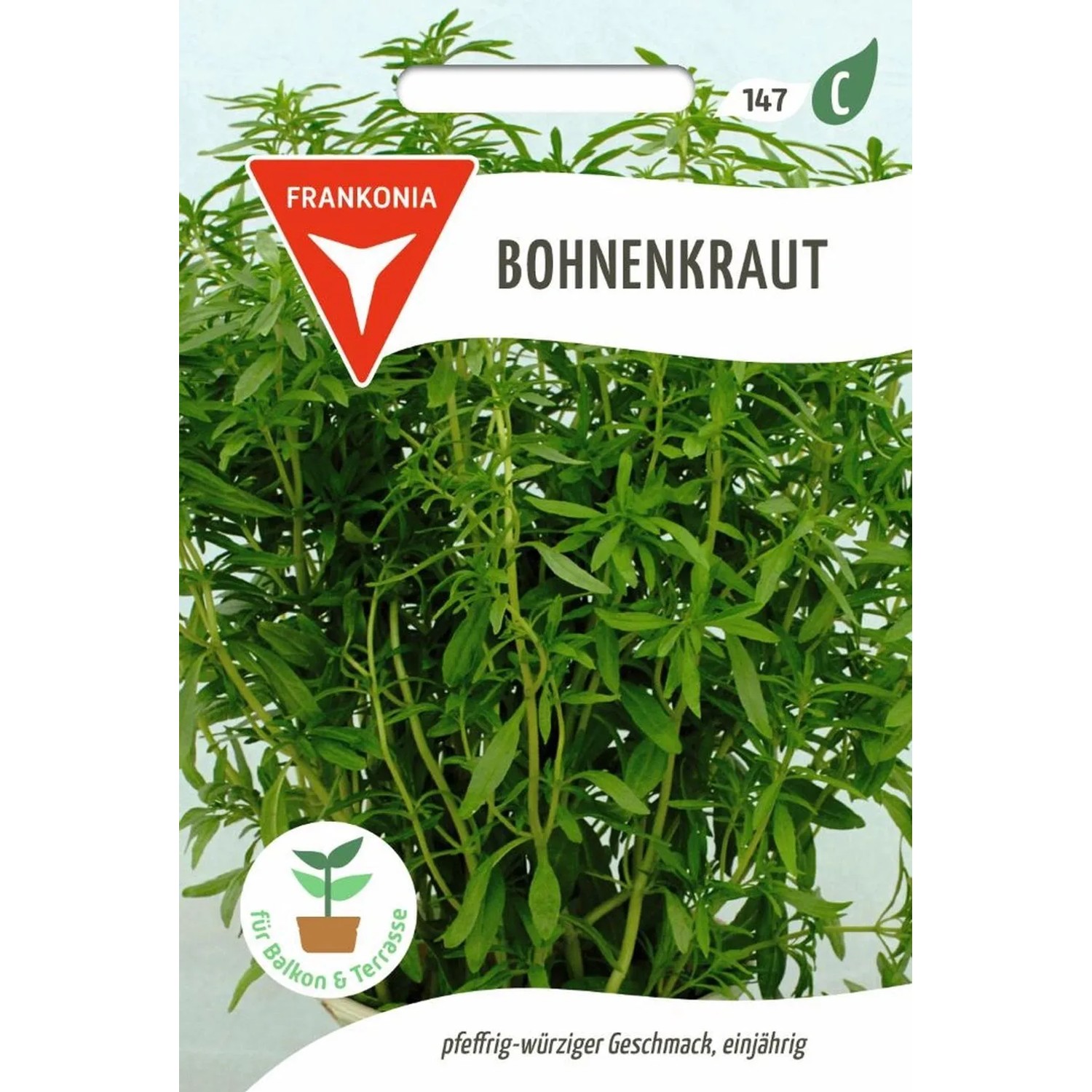 FRANKONIA Bohnen- oder Pfefferkraut günstig online kaufen