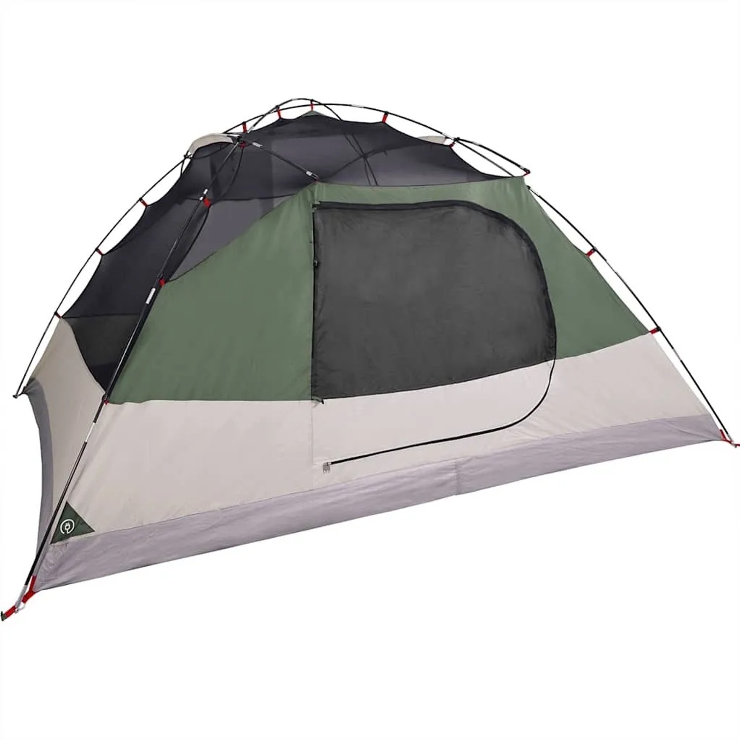 Furnicato Campingzelt Kuppel Grün 290 X 320 X 150 Cm_8