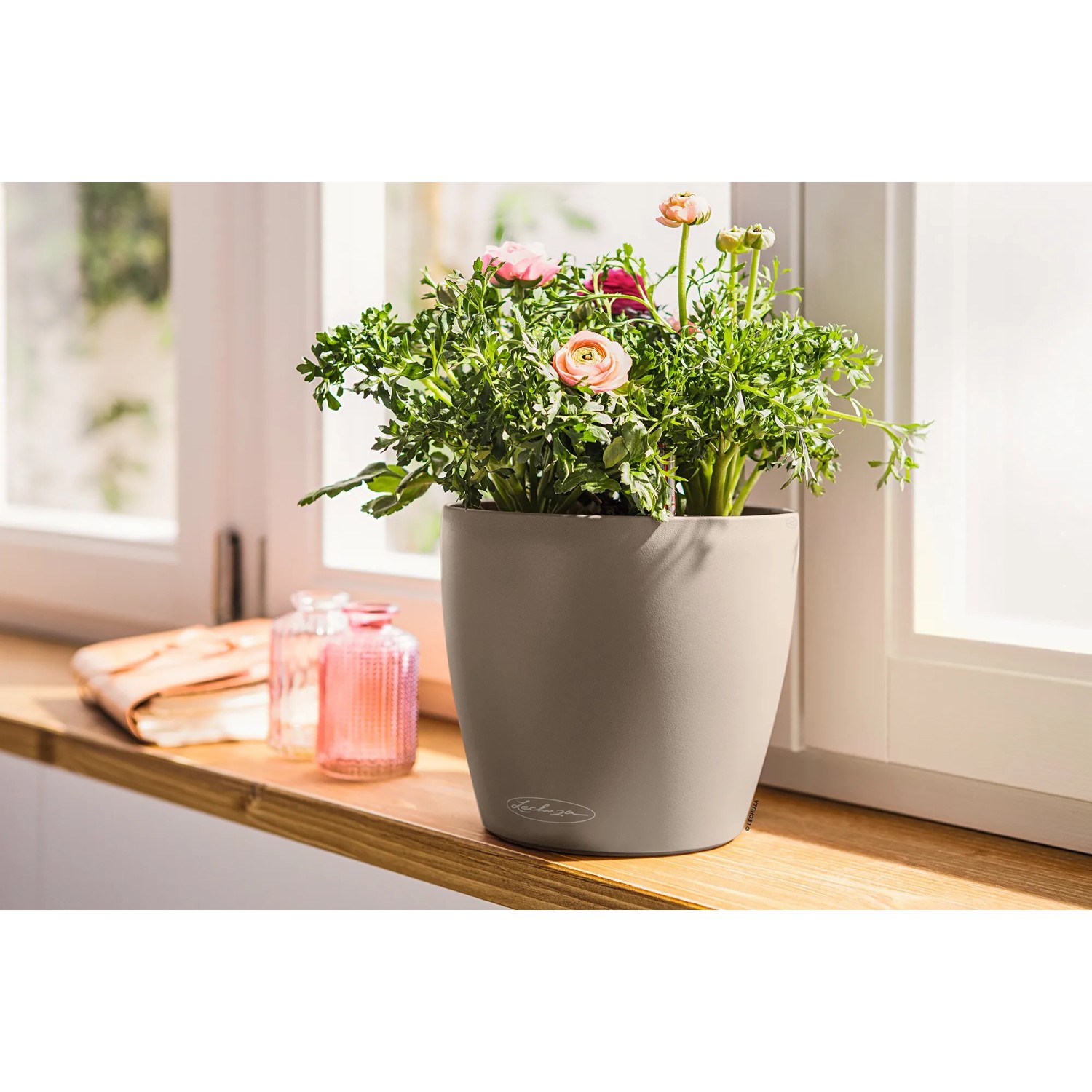Lechuza Classico Color Pflanzgefäß, Ø 22cm, sandbraun, mit blühender Pflanze.