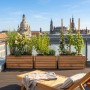 Drei HolzFee Pflanzkästen Linea aus hellem Lärchenholz auf einer Dachterrasse, bepflanzt, mit Stadtkulisse.