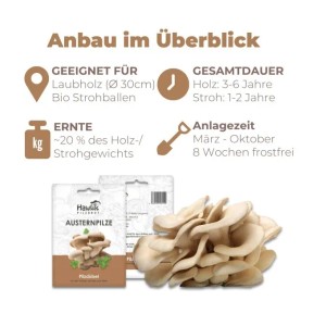 Hawlik Pilzbrut Myzel Dübelbrut Austernpilze für Pilzzucht im Garten auf Strohballen und Holzstämmen