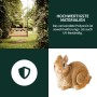 VERDOBA Teich Gartenfiguren Häschen_5