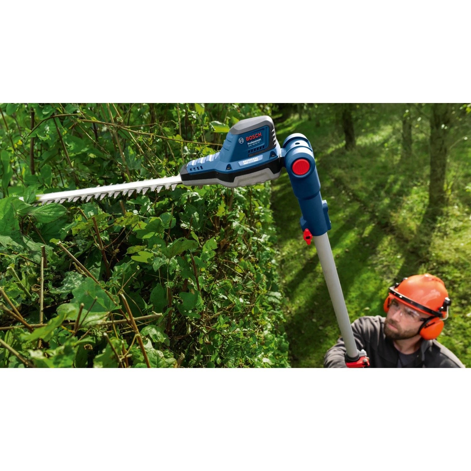 Bosch Akku-Teleskopheckenschere GHE 18V-50 TP Solo beim Heckenschnitt.