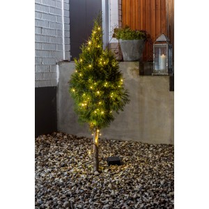 Konstsmide LED Lichterkette mit 80 warmweißen LEDs an kleinem Baum im Außenbereich.