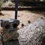 Technaxx Wildtierkamera TX-189 4G mit Solarpanel auf Baumstamm im Wald.