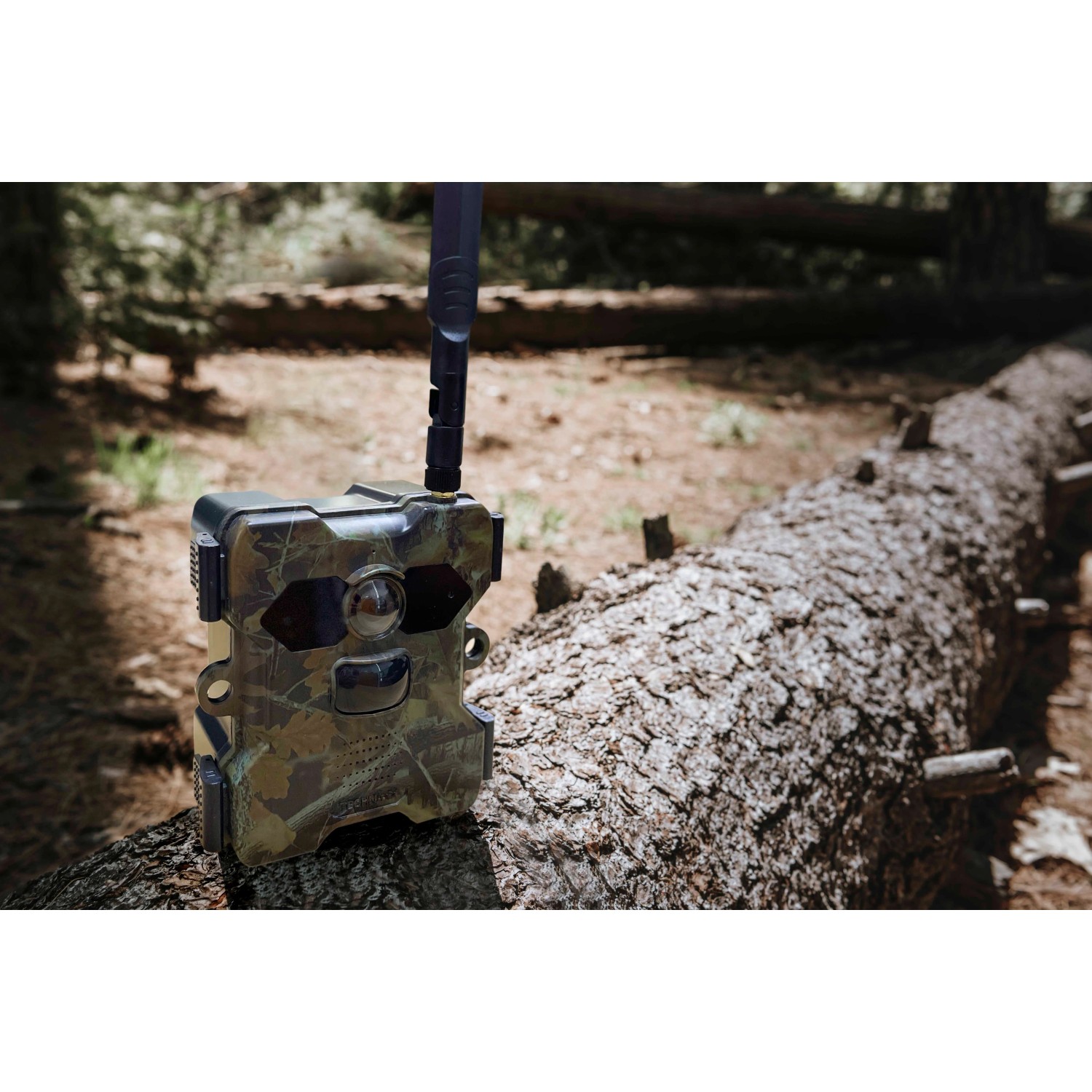 Technaxx Wildtierkamera TX-189 4G mit Solarpanel auf Baumstamm im Wald.