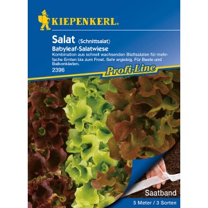 Kiepenkerl Schnittsalat Babyleaf-Salatwiese mit roten und grünen Blattsalaten auf Saatband.