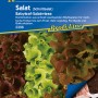 Kiepenkerl Schnittsalat Babyleaf-Salatwiese mit roten und grünen Blattsalaten auf Saatband.