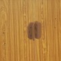 Detailaufnahme: Türgriff des Pergart Gerätehaus Lübeck 88 in Holzoptik.