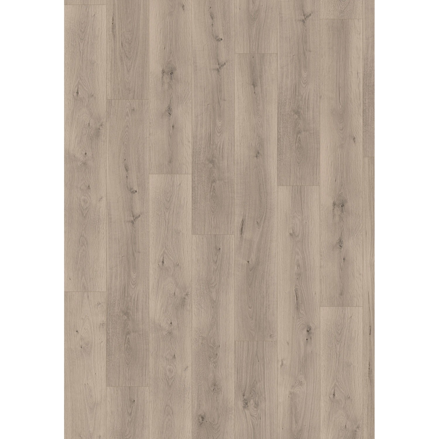 Egger Aqua Laminat EL2112 NatureSense Pinot Eiche hellgrau, Dielenboden mit Holzoptik.