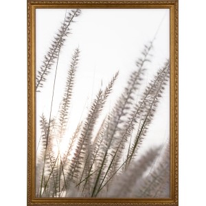 Holzbilderrahmen, goldfarben, 50x70 cm, mit verschnörkelten Details. Dekorativer Fotorahmen.