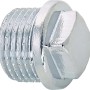 Verchromter Messing Gewinde-Stopfen, 21 mm (R 1/2) zum Verschließen von Rohren.