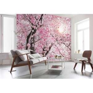 Komar Vlies Fototapete Bloom, 400x260 cm, mit rosa Blüten im Wohnraum.