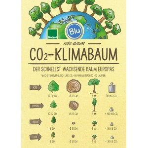 Infografik: Blu CO2-Klimabaum Wachstum im Vergleich zu anderen Bäumen.