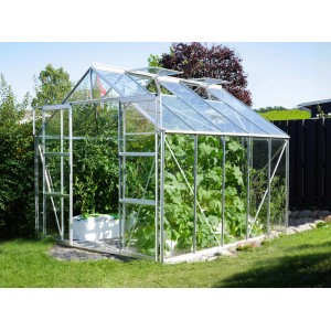 Vitavia Gewächshaus Uranus 8300 mit Alu-Rahmen und Pflanzen im Inneren.