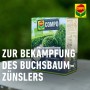 Compo Buchsbaumzünsler K.O. 50ml Packung zur Bekämpfung von Buchsbaumzünslern und saugenden Insekten.