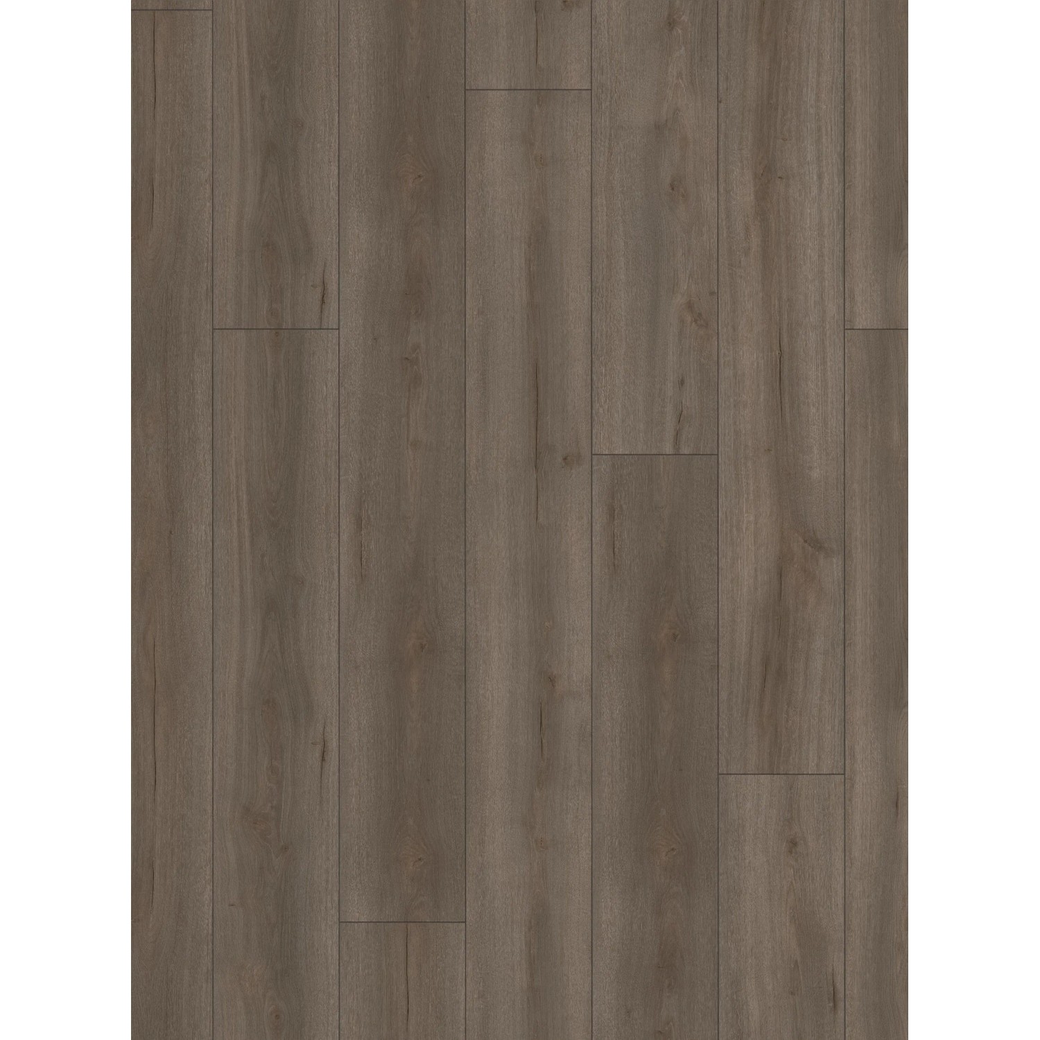 Parador Laminatbodenmuster Trendtime 6 Eiche Loft Geräuchert Dunkelgrau