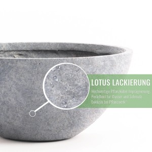 Detailaufnahme: Hellgraue Pflanzwerk Pflanzschale Bowl Premium mit Lotus-Lackierung.
