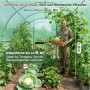 Mann im geräumigen Foliengewächshaus 3x2x2m mit Tomaten, Gurken, Kohl. Ideal für Gemüseanbau im Garten, UV-Schutz.