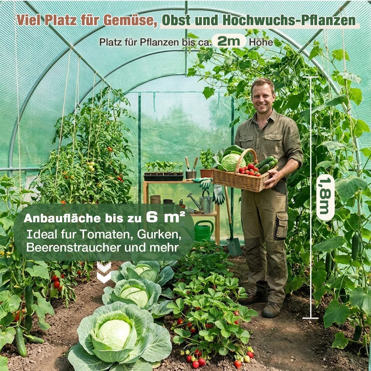 Mann im geräumigen Foliengewächshaus 3x2x2m mit Tomaten, Gurken, Kohl. Ideal für Gemüseanbau im Garten, UV-Schutz.