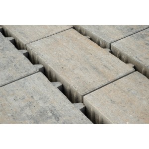 Diephaus Pflaster Lumo Öko PE2 Muschelkalk 30 cm x 20 cm x 6 cm