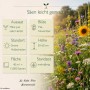 Buntes Blumenfeld mit LaCaTho Nektar-Pollen-Mischung Samen und Infos zu Aussaat, Blüte, Höhe.