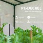Detailaufnahme: Outsunny Gewächshaus mit UV-beständiger PE-Abdeckung, verstärktem Saum und Pflanzen.