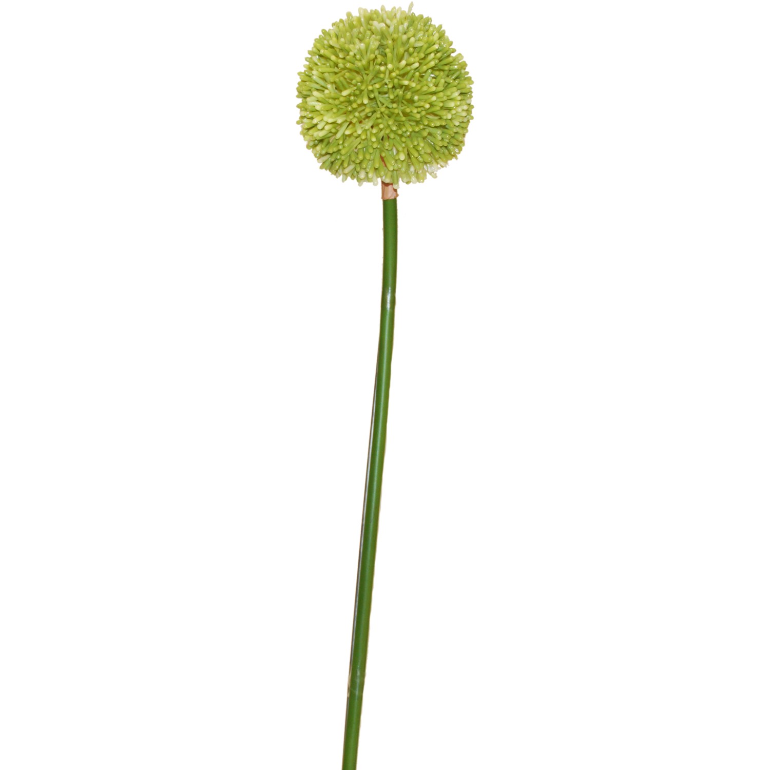 Kunstblume Allium Kugel Cream-Green 70 cm