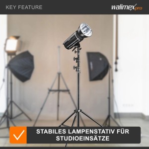 Walimex Pro Air 290 Deluxe Lampenstativ, schwarz, mit Studioblitz im Fotostudio. Stabiles Lichtstativ für professionelle Studioeinsätze.