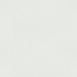 Weiße, überstreichbare Vliestapete in Putzoptik von Bricoflor für Flur.