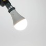 JBL LED Tageslichtlampe mit Vollspektrum für Terrarien, E27 Fassung, 13W.