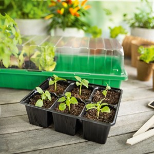 Zimmer-Gewächshaus inklusive 18 Anzuchttöpfen