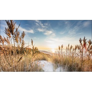 Giclée Wandbild Wilder Strand, 160x90 cm: Dünenlandschaft mit Strandhafer im Sonnenlicht.