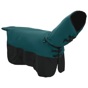 Dunkelgrüne vidaXL Pferdedecke mit schwarzem Saum, atmungsaktiv und wasserdicht.