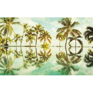 Komar Fototapete Vlies Key West, Palmen und Wasserreflexion, 400x250 cm.