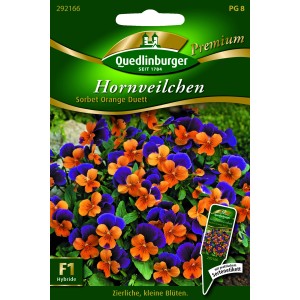 Quedlinburger Hornveilchen 'Sorbet Orange Duett' Blumensamen mit orange-violetten Blüten.