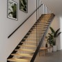 Stilvolle Holztreppe mit schwarzem Geländer, beleuchtet von Paulmann MaxLED LED-Strips unter den Stufen.