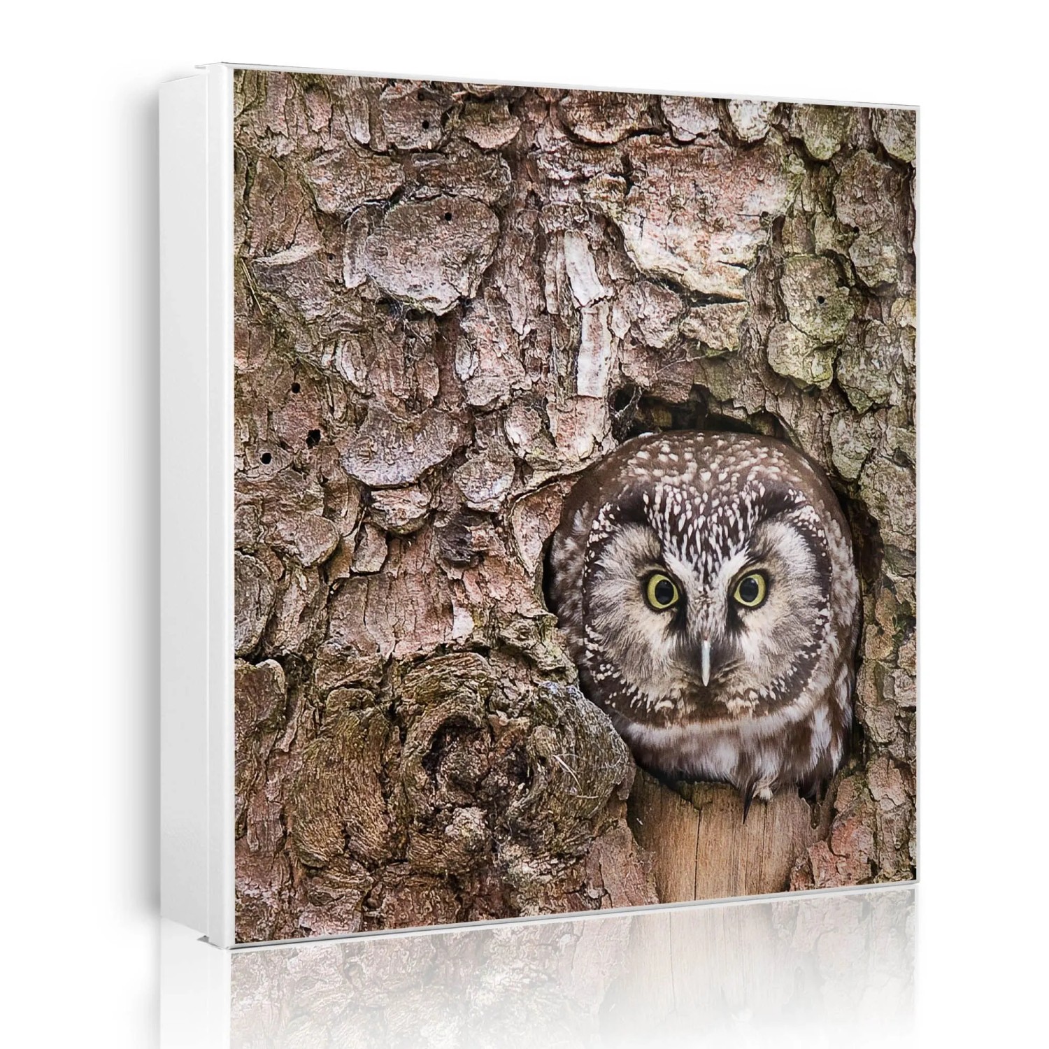 Banjado Großer Schlüsselkasten Metall 30x30cm Weiß Scharnier Links 50 Haken Beschreibbar Magnetisch Motiv Eule