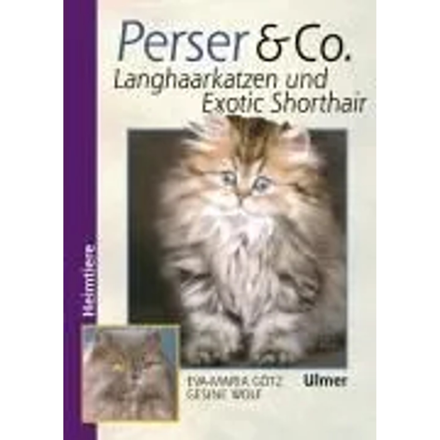 Perser und Co. Langhaarkatzen und Exotic Shorthair