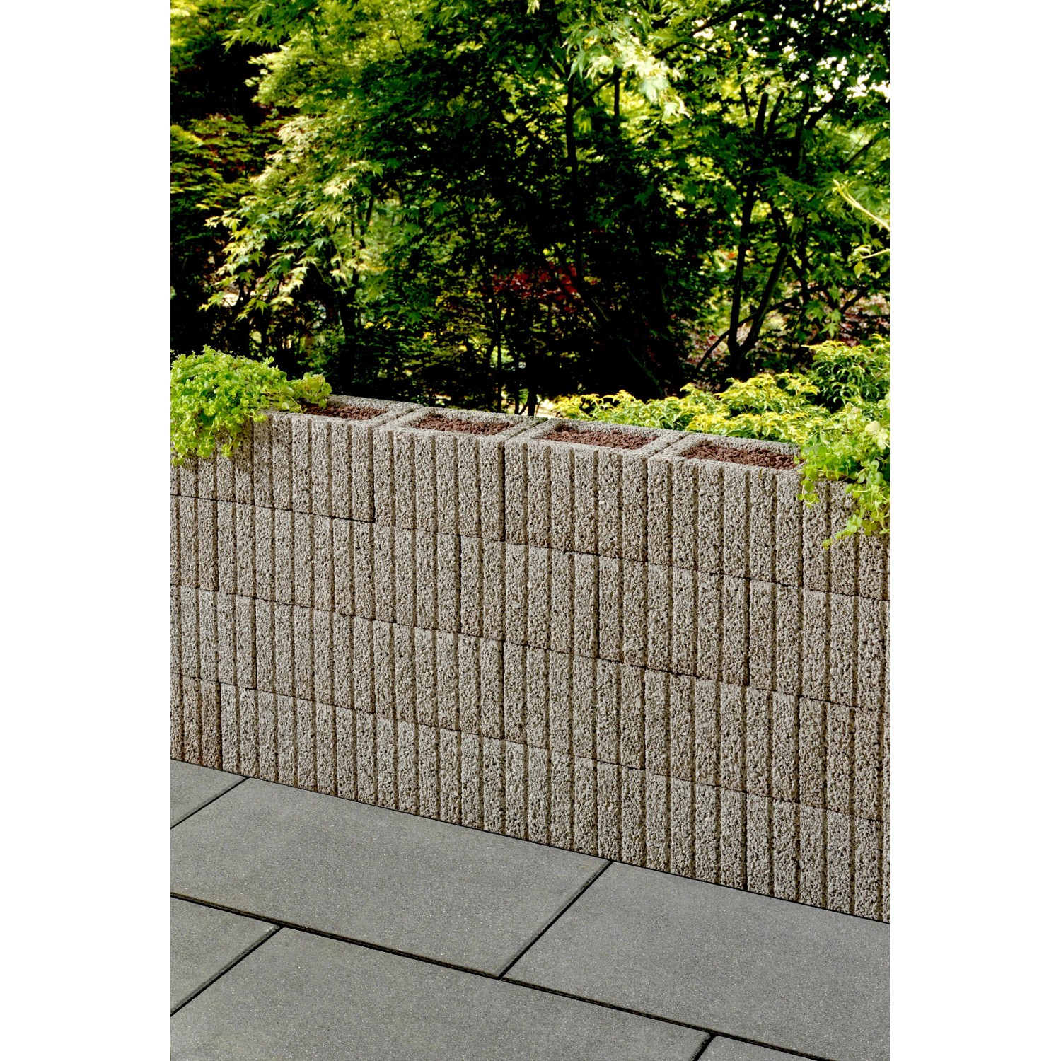 Graue Kann Pflanzsteine Mini als kleine Mauer mit Bepflanzung.
