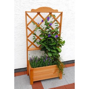 Holz Rankkasten Botanica mit Rankhilfe und Bepflanzung, 69x140cm, für Garten & Terrasse.