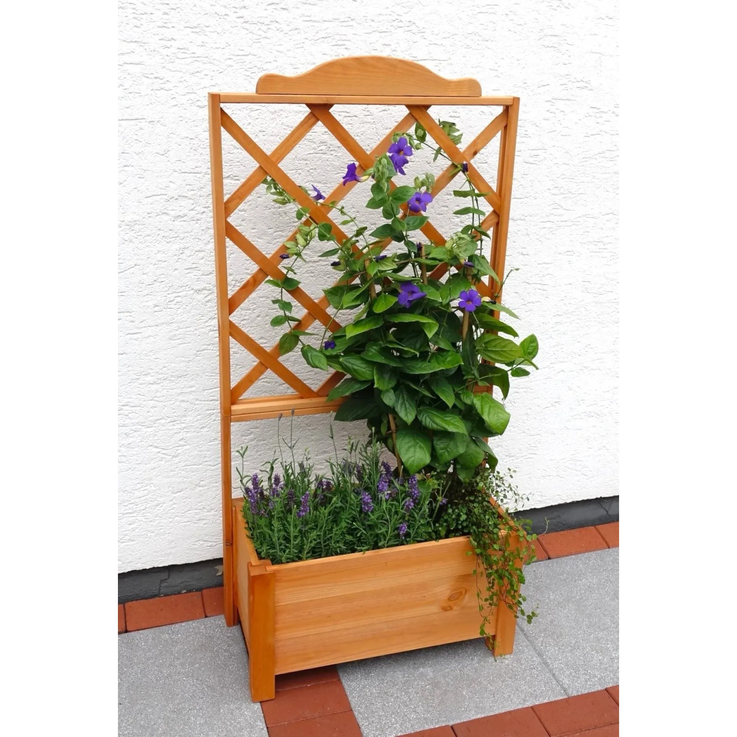 Promadino Pflanzkasten mit Rankgitter Botanica 69 x 140 cm kaufen bei OBI
