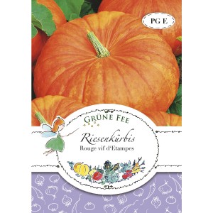 Saatgut für Rouge Vif D´Etampes Riesenkürbis, orangefarbene Früchte. Gemüsesamen für ca. 7 Pflanzen.