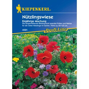 Nützlingswiese Saatgut-Mischung mit blühenden Blumen, die Nützlinge anlocken.