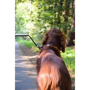 ikea schallplatten aufbewahrung KALLE Schallplattenhalter fr IKEA KALLAX aus Massivholz auch graviert   Phonotastisch